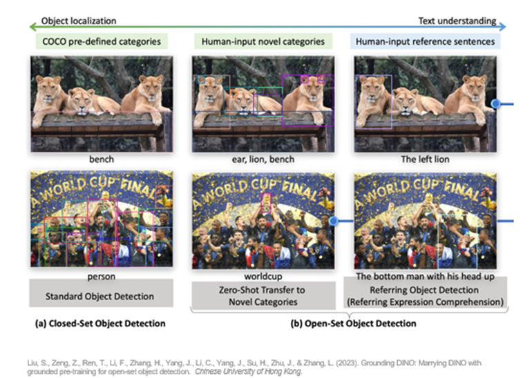 A collage of a lion

Description automatically generated